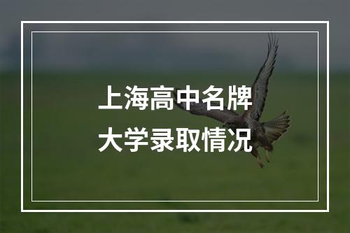 上海高中名牌大学录取情况