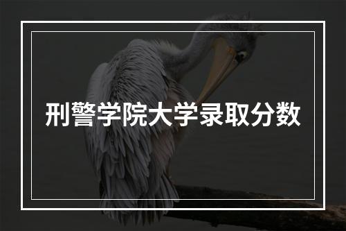 刑警学院大学录取分数