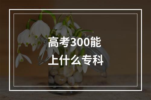 高考300能上什么专科