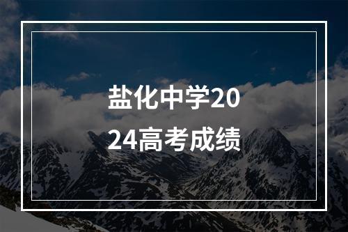 盐化中学2024高考成绩