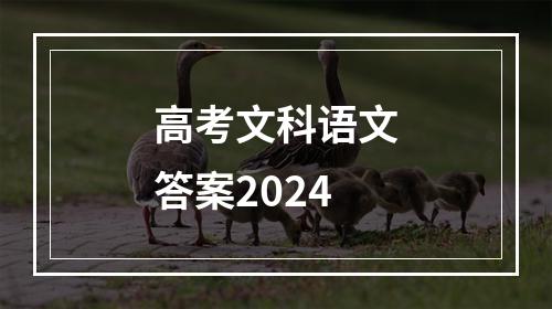 高考文科语文答案2024