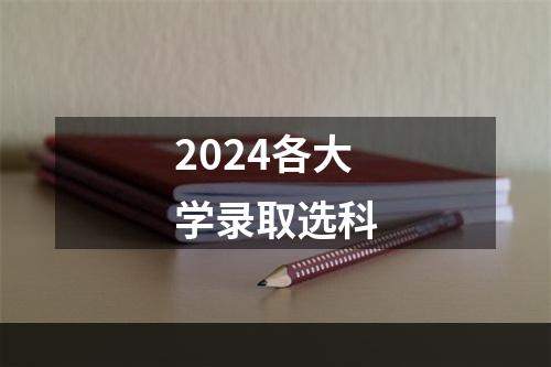 2024各大学录取选科