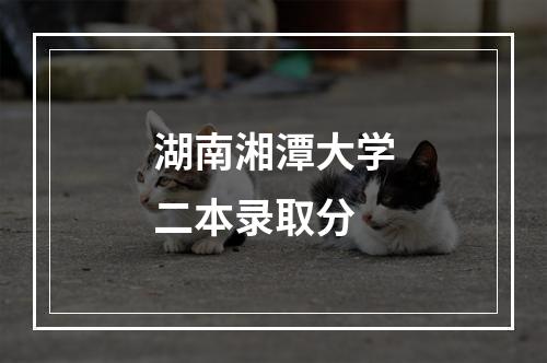 湖南湘潭大学二本录取分