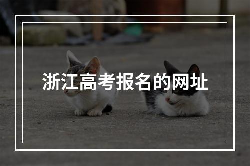 浙江高考报名的网址