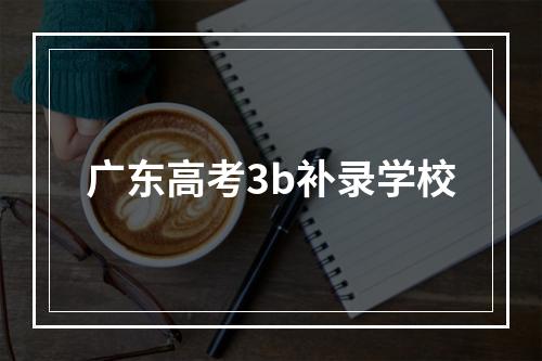 广东高考3b补录学校