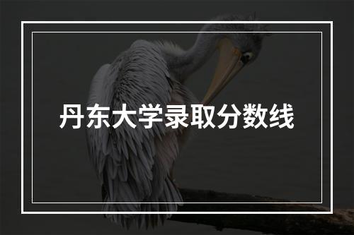 丹东大学录取分数线