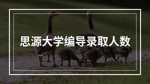 思源大学编导录取人数