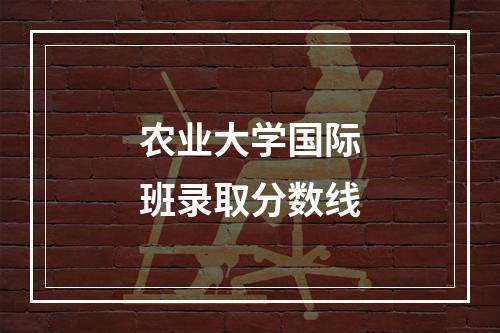 农业大学国际班录取分数线