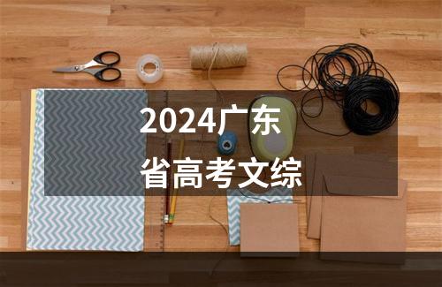 2024广东省高考文综