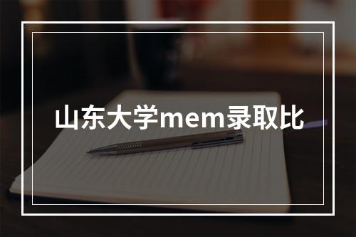 山东大学mem录取比