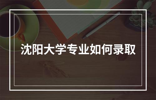 沈阳大学专业如何录取