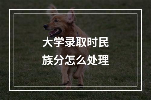 大学录取时民族分怎么处理