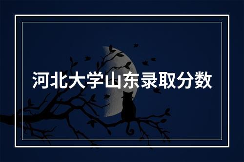 河北大学山东录取分数