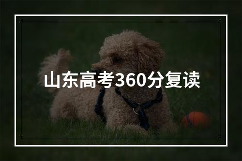 山东高考360分复读