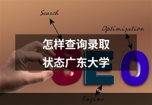 怎样查询录取状态广东大学