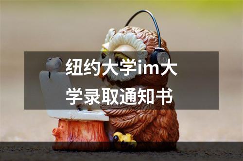 纽约大学im大学录取通知书