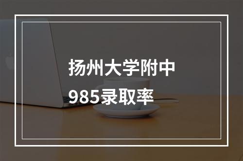 扬州大学附中985录取率