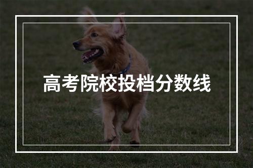 高考院校投档分数线