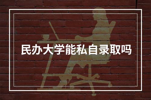 民办大学能私自录取吗