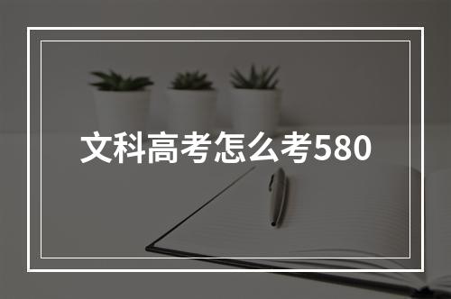 文科高考怎么考580