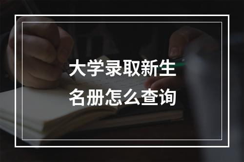 大学录取新生名册怎么查询