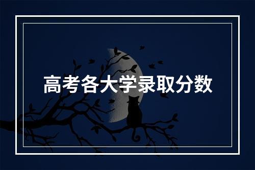 高考各大学录取分数