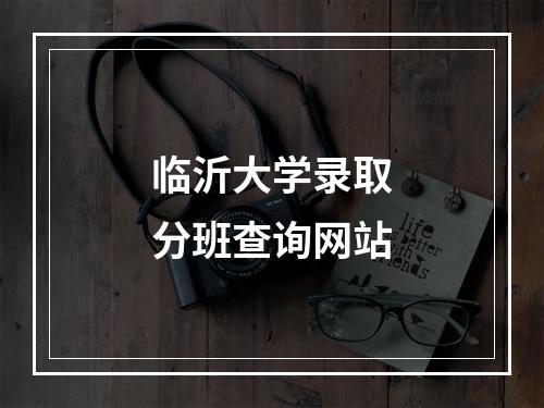 临沂大学录取分班查询网站