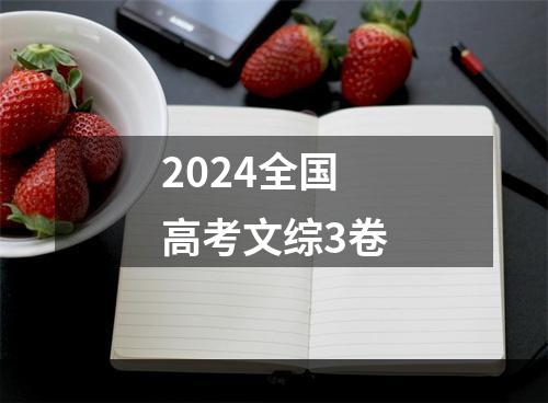 2024全国高考文综3卷