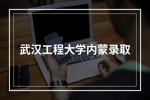 武汉工程大学内蒙录取