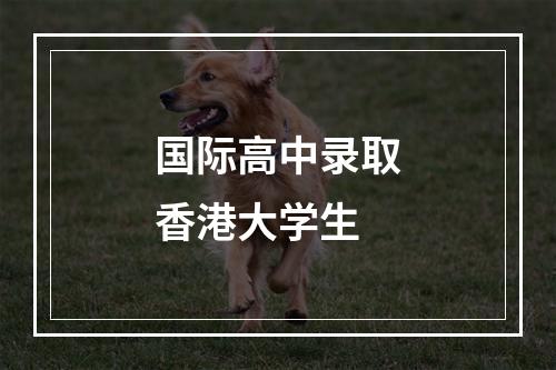 国际高中录取香港大学生