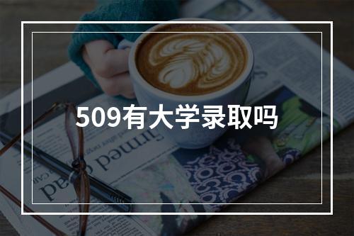 509有大学录取吗