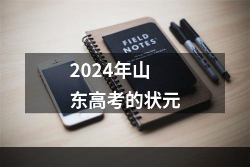 2024年山东高考的状元