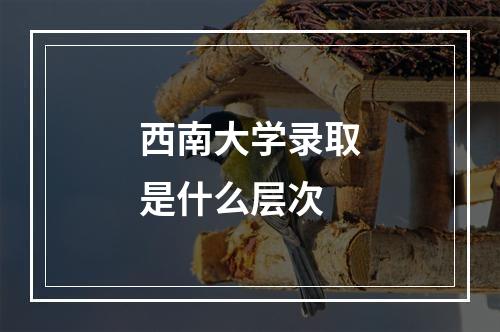 西南大学录取是什么层次