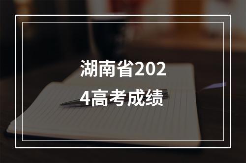 湖南省2024高考成绩