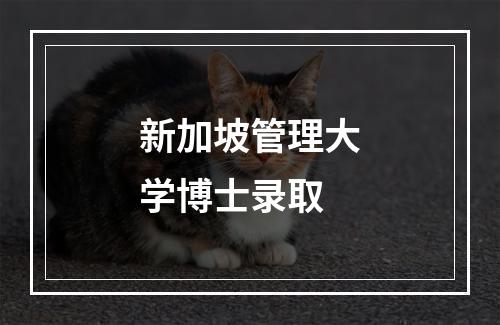 新加坡管理大学博士录取