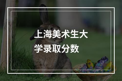 上海美术生大学录取分数