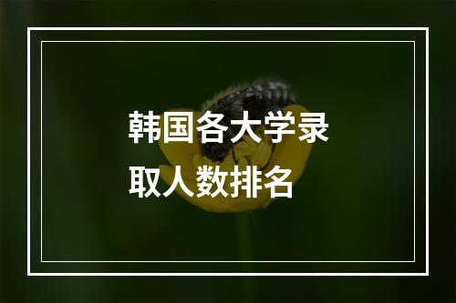 韩国各大学录取人数排名