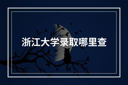 浙江大学录取哪里查