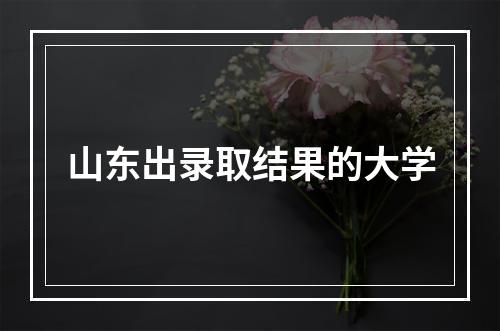 山东出录取结果的大学