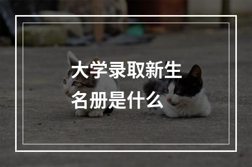 大学录取新生名册是什么