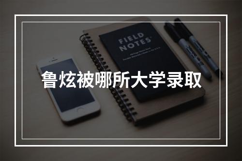 鲁炫被哪所大学录取