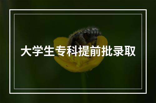 大学生专科提前批录取