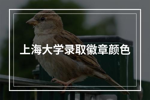 上海大学录取徽章颜色