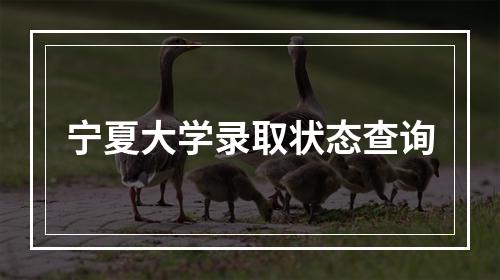 宁夏大学录取状态查询