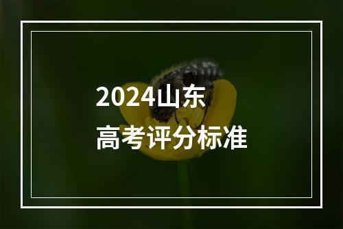 2024山东高考评分标准