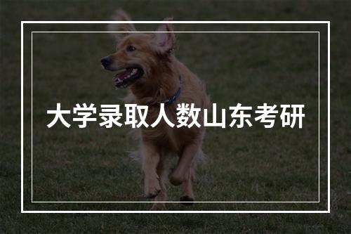 大学录取人数山东考研