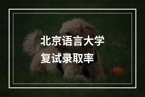 北京语言大学复试录取率