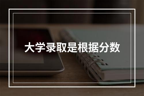 大学录取是根据分数