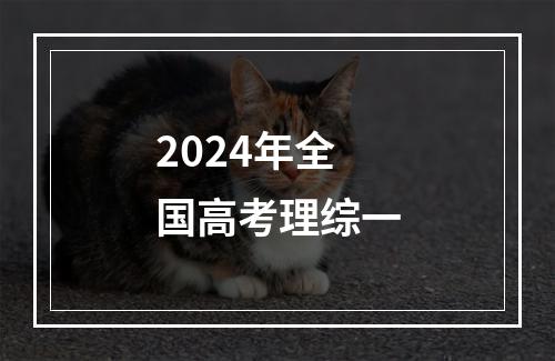 2024年全国高考理综一