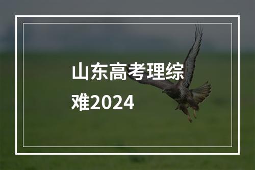 山东高考理综难2024